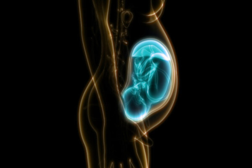 O Ãºtero Ã© o Ã³rgÃ£o do sistema reprodutor feminino responsÃ¡vel por abrigar o bebÃª durante todo o perÃ­odo gestacional.