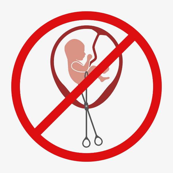 Aborto: o que é, fatores de risco, tipos - Biologia Net