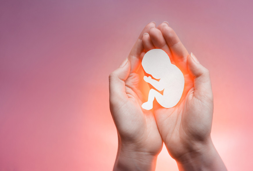 O aborto é a interrupção da gravidez antes do período perinatal, ou seja, quando ainda não há viabilidade do feto