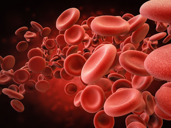 O sangue Ã© constituÃ­do por uma matriz lÃ­quida, denominada de plasma, onde estÃ£o presentes cÃ©lulas e fragmentos celulares.