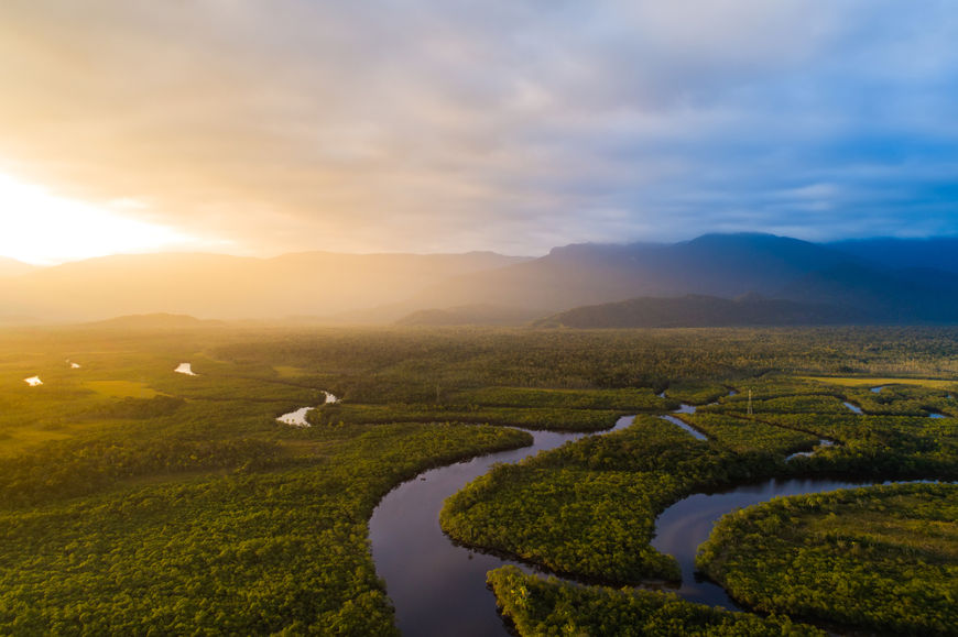 A Floresta AmazÃ´nica estÃ¡ presente no bioma AmazÃ´nia e encontra-se distribuÃ­da pela RegiÃ£o Norte do Brasil, alÃ©m de paÃ­ses como ColÃ´mbia e Equador.