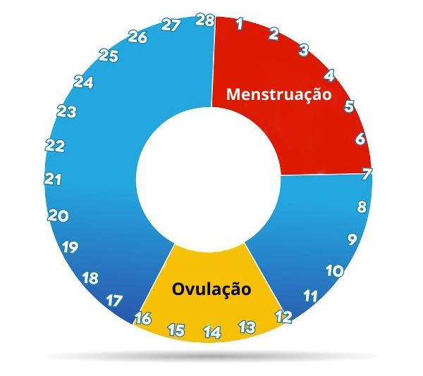 O ciclo menstrual, tambÃ©m chamado ciclo uterino, tem duraÃ§Ã£o mÃ©dia de 28 dias.