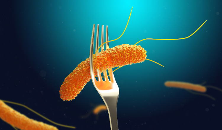 Las principales bacterias que causan infecciones alimentarias en el mundo son del género Salmonella.