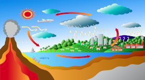 desenho representando ciclo do carbono