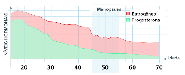 A menopausa ocorre entre os 45 e 55 anos de idade, sendo observada uma reduÃ§Ã£o definitiva na produÃ§Ã£o de estrogÃªnio e progesterona pelos ovÃ¡rios.