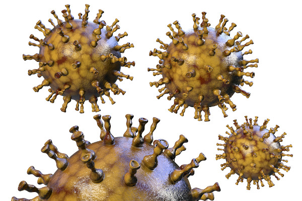 Representação pictográfica de quatro vírus varicela-zoster