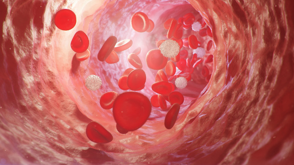 Representação de um vaso sanguíneo, que pode ser acometido por vasculite (inflamação).
