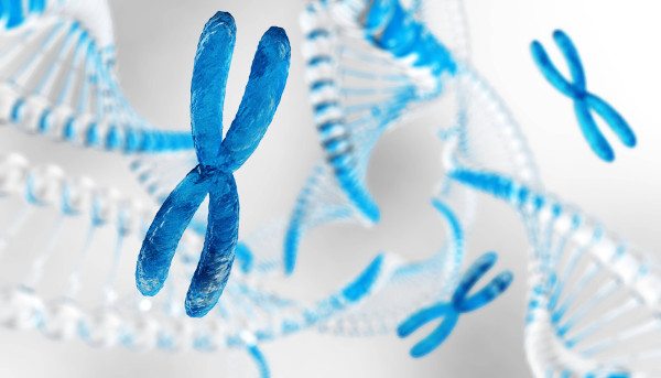 Representação de alelos de cromossomos em uma cadeia de DNA