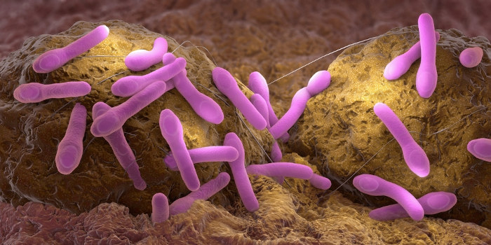 Ilustração de bactérias do tipo Clostridium botulinum em formato de bastonetes.