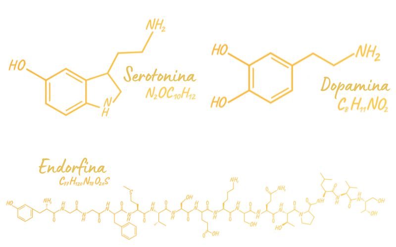 MolÃ©cula quÃ­mica da serotonina, da dopamina e da endorfina.