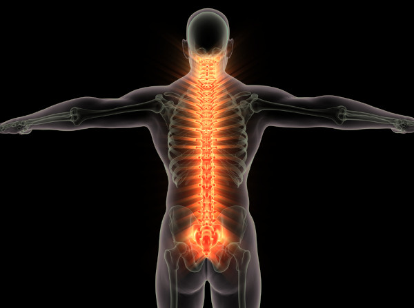 Ilustração em 3D da coluna vertebral humana.