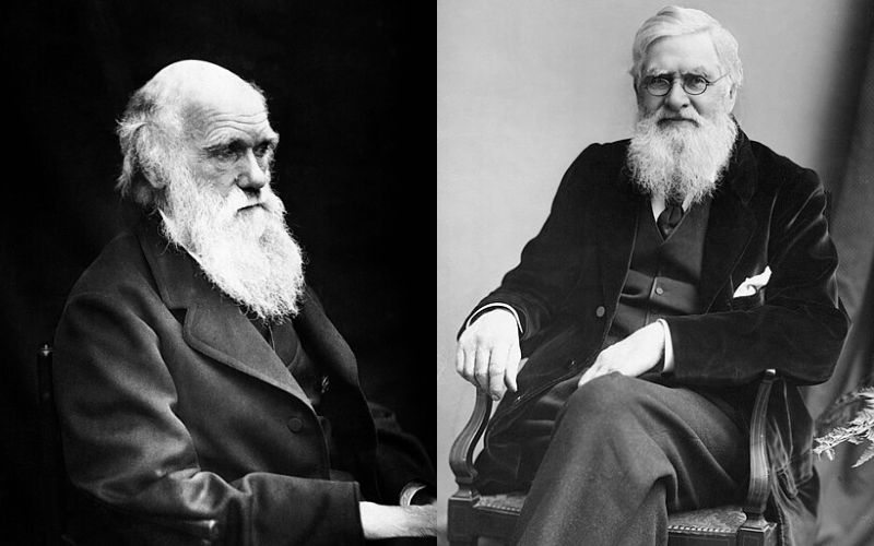 Charles Darwin e Alfred Russel Wallace, que desenvolveram quase simultaneamente uma conhecida teoria evoluÃ§Ã£o.