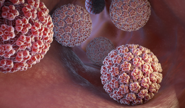 Representação gráfica do Papilomavírus Humano (HPV).