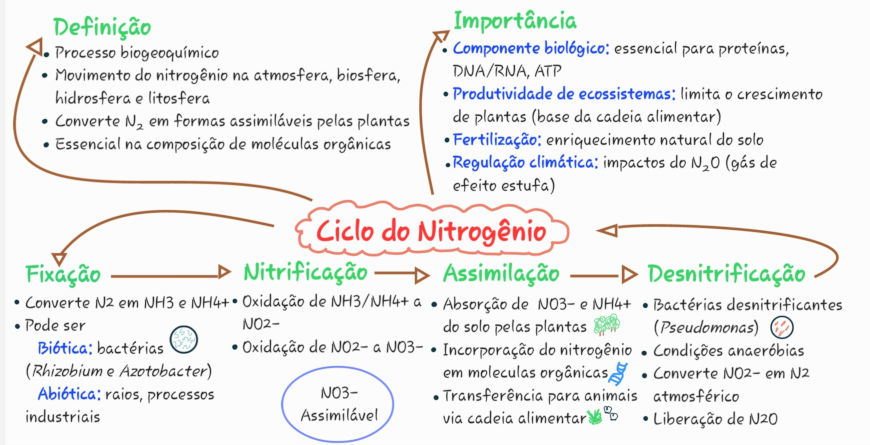 Mapa mental sobre o ciclo do nitrogênio.