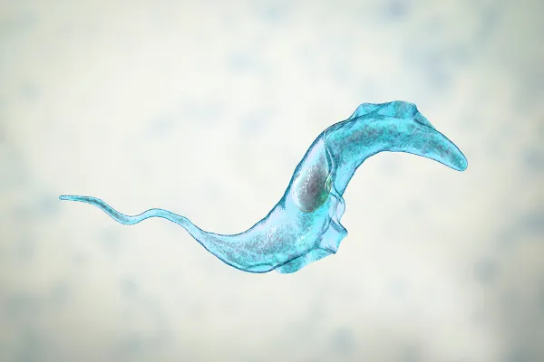 Doença de Chagas