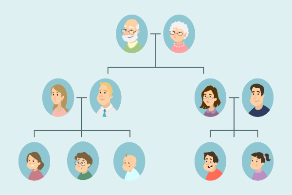 Heredograma ou árvore genealógica representando a hereditariedade.