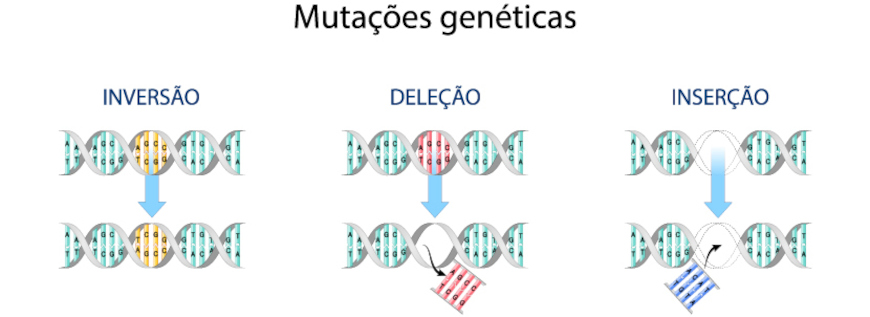 Esquema ilustrativo de tipos de mutaçõão genética em texto sobre hereditariedade.