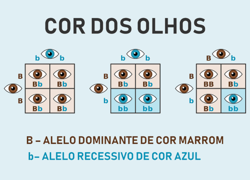 uadro ilustrativo com esquema da hereditariedade típica da cor de olhos azuis e castanhos.