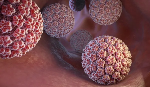 Representação do papilomavirus humano