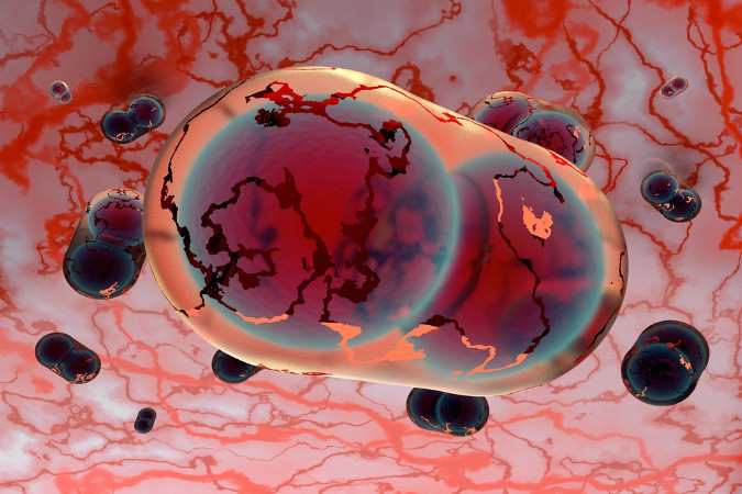 A varíola é causada por um vírus da família Poxviridae e atualmente é considerada como uma doença erradicada