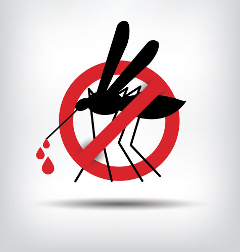 Acabar com o mosquito <em>Aedes aegypti</em> é essencial para encerrar a grave epidemia de dengue