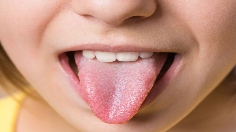 Las papilas gustativas se distribuyen por la parte dorsal de la lengua.