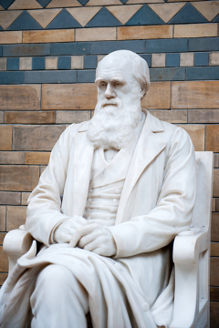 Estátua de Charles Darwin no Museu de História Natural de Londres