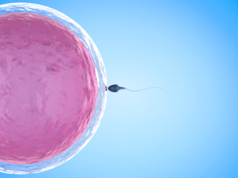 Gametogênese é o processo de produção de gametas masculinos (espermatozoides) e femininos (ovócitos).