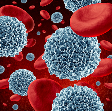 No sangue encontramos hemácias, leucócitos e plaquetas