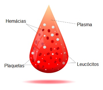 O sangue é composto por plasma e elementos figurados