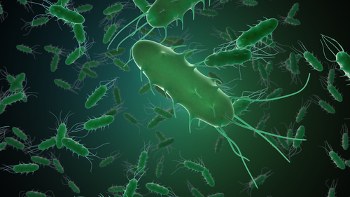 Segundo a teoria da abiogênese, os micro-organismos poderiam surgir em qualquer lugar de forma espontânea